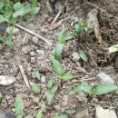 구억농장 이미지