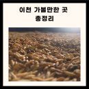 경기도 이천 가볼만한곳 여주이천 가볼만한곳 이천 가볼만한곳 베스트10 이미지