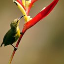 김밥천국 (동문점) | 충청남도 서산시 김밥천국 동문점, 후기, 리뷰, 가격