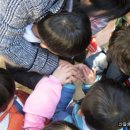 당평초등학교 이미지