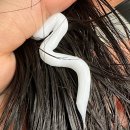 더블에이치컴퍼니 이미지