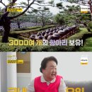 자매청국장 이미지