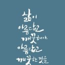 웰스케어 이미지