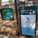 부천시립합창단 야외연주회 네이버블로그