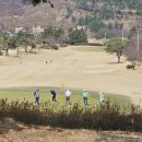 돈 크리크 카카오 검색결과