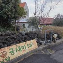 서연칼국수 | 제주 가족여행 2일차 일정 월드컵리조트 조식으로 시작해서 올레시장 음식으로 마무리 된 하루