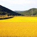 고창황금펜션 네이버블로그
