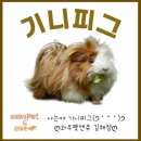 와우펫앤쥬 김해점 이미지