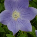 천화농장 이미지