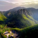 소나무 전경 이미지