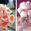 꽃으로 힐링 ** 이미지