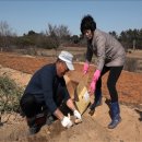 선유도민박 이미지