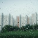 철이헤어샵 이미지