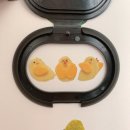 마리들농장 이미지