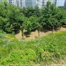 내곡동271 이미지