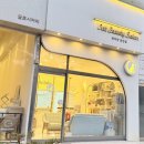 잔다냥 | 안산 고양이 무마취 미용 잔다냥 내돈내산 목욕 후기