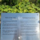 서울 근교 여행 - 서산 유기방 가옥 ft 미스터선샤인촬영지