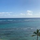 코코농장 1 이미지