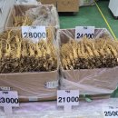 금산인삼국제시장 이미지