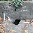 하늬보름 이미지