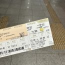 CU(서산운산점) | 서산 유기방가옥 수선화 명소 뚜벅이 혼자 당일치기 2023년 03월 22일 개화 상황