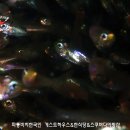 섬 게스트하우스 이미지