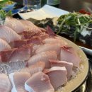 대낭굴 | [신당 맛집] 힙당의 숙성회 전문 방어 맛집(방어+우럭찜+돌멍게 후기)