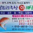 백일수산 이미지