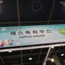 에스독하우스 방석 - 저렴이 마약방석 :)