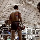 레볼루션 짐 이미지