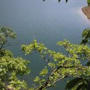장성호수변길 | 광주 근교 가볍게 트래킹 - 장성호 수변길