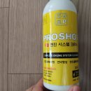 연진출력
