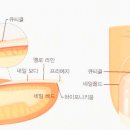 루트네일 이미지