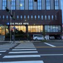 팔레스호텔 | 제주 시내쪽 6만 원대 가성비 호텔 추천 | 제주 팔레스 호텔 후기 (내돈내산)