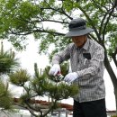 군산시니어클럽 이미지