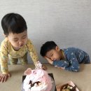 지안데코 Daum카페