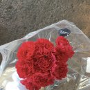 EF 산타바바라 어학연수 리얼 후기