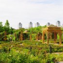 한밭수목원 이미지