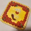 누나펜션 | 고성 애견동반펜션 2번 방문 비놀리안 내돈내산 후기