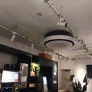 데이롱 카페 호계호원초점 이미지