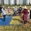 시흥시생명농업기술센터 이미지