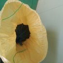 찬희네 해피팜스 이미지