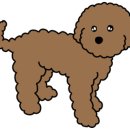 군포왕족발 이미지