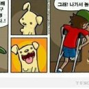 강아지이야기 이미지