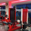 에스라인 휘트니스 이미지