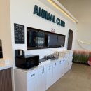 애니멀클럽 이미지