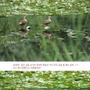 고양생태공원(교육센터 내) 이미지