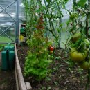 일석농장 이미지