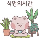 식물카페아단소니 이미지