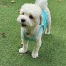 역전까페 이미지